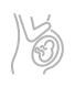 Dessin stylisé gris sur fond noir représentant une forme spiralée évoquant un fœtus dans un utérus, connecté par des lignes.