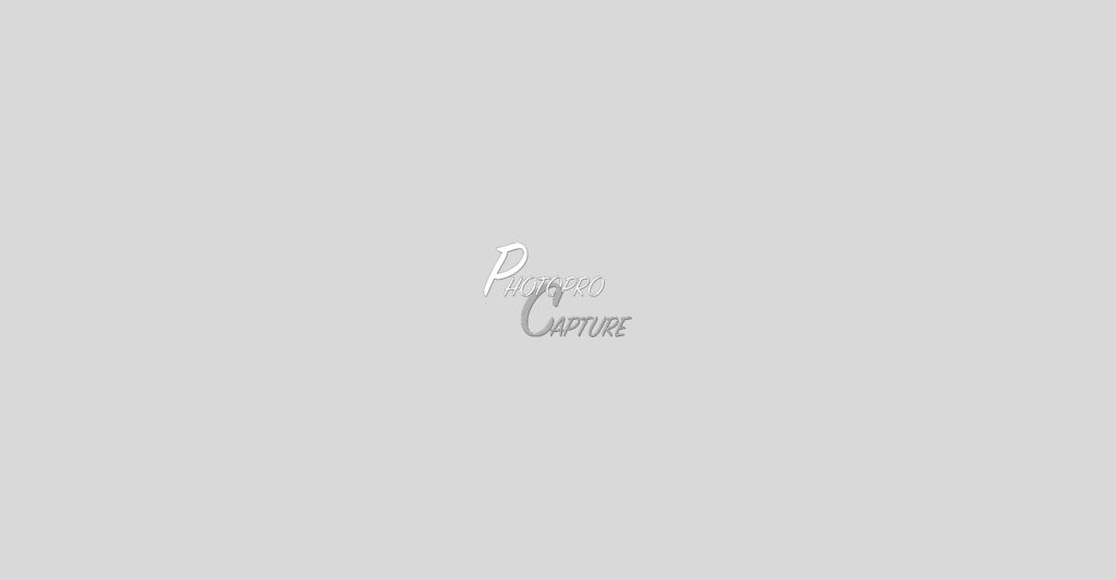 Texte PHOTOPRO CAPTURE en relief blanc et gris sur fond uni clair. Le mot PHOTOPRO est au-dessus de CAPTURE.